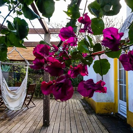 Ponta Delgada Casa Villa Cottage מראה חיצוני תמונה