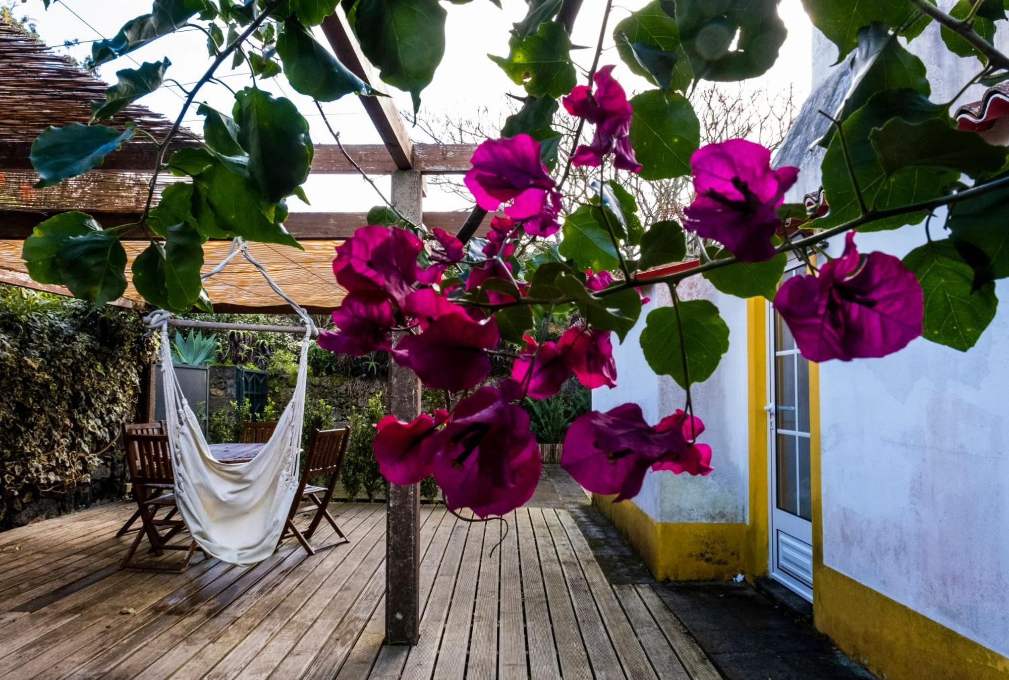 Ponta Delgada Casa Villa Cottage מראה חיצוני תמונה